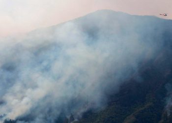Kebakaran Bromo Merembet ke Nongkojajar Pasuruan hingga Bukit Jemplang Malang 6 Kebakaran Bromo.