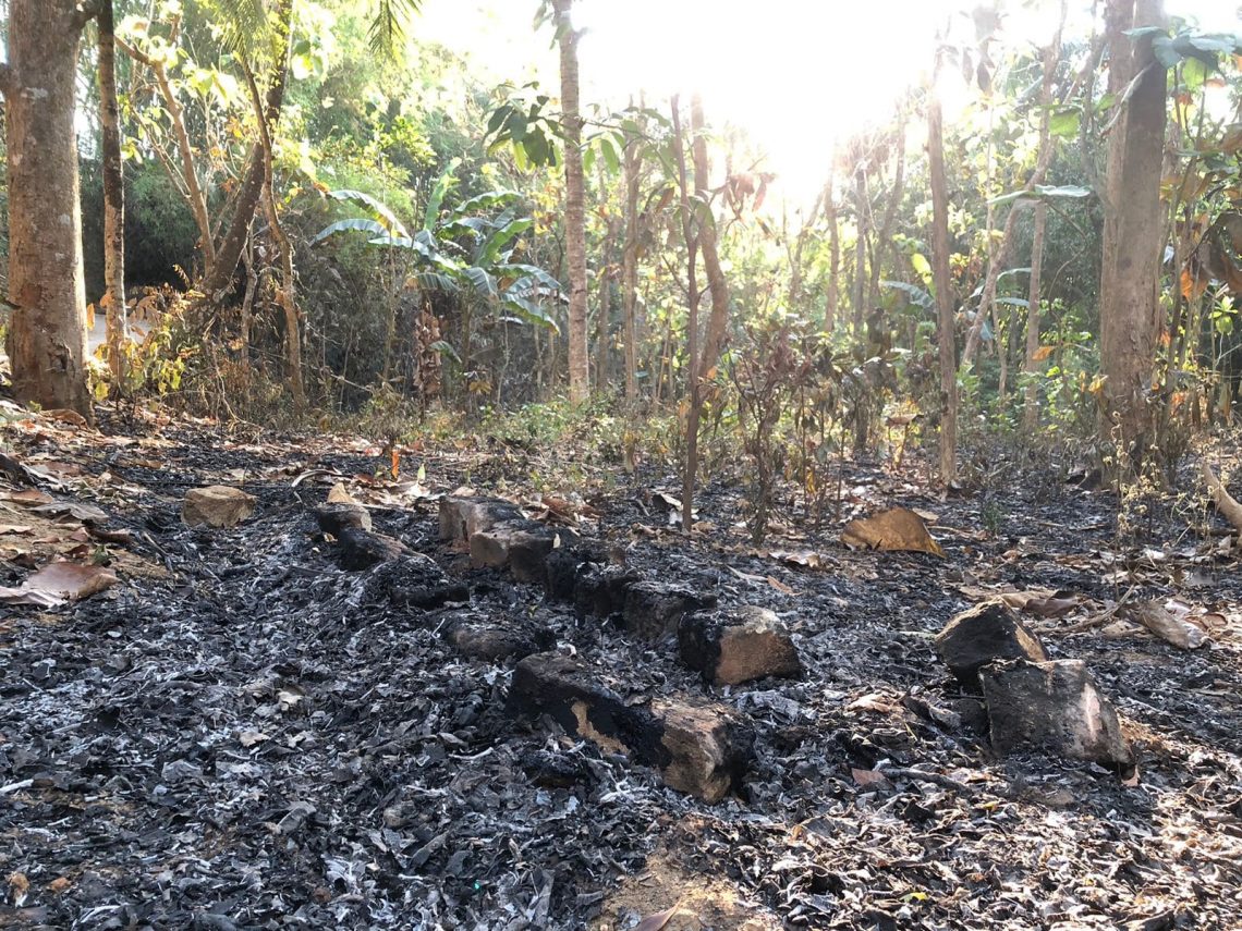 lahan pertanian.