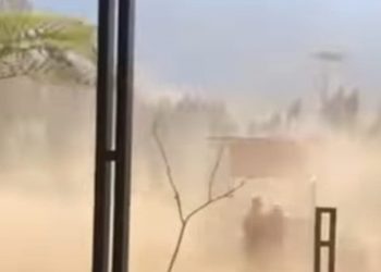 1 Jam Angin Kencang Terjang Puncak Brakseng Kota Batu, Dua Pohon Besar Tumbang 2 Puncak Brakseng.
