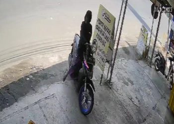 Maling bersarung.