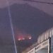 Titik Api Kebakaran Gunung Arjuno di Pasuruan Kembali Muncul, Petugas: Sudah Aman Terkendali 8 Kebakaran Gunung Arjuno.