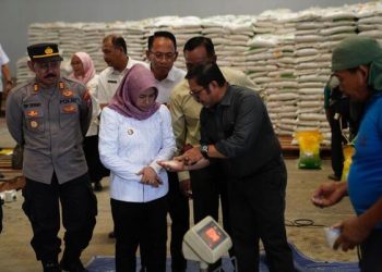Stok beras.