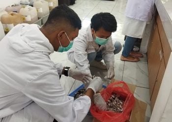 Mahasiswa UB.