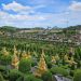 Nong Nooch Tropical Botanical Garden Thailand, Cek Harga Tiket Masuk Terbaru 2023 Kebun Raya Terbesar dan Terindah di Dunia 8 Nang Nooch Tropical Botanical Garden.