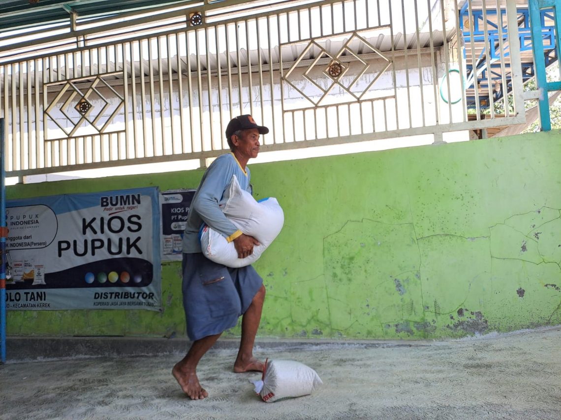 Harga Mahal, Petani Tuban Buru Pupuk Subsidi Rp400 Ribu Per Paket 1 Pupuk subsidi.
