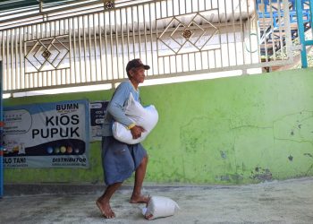 Pupuk subsidi.