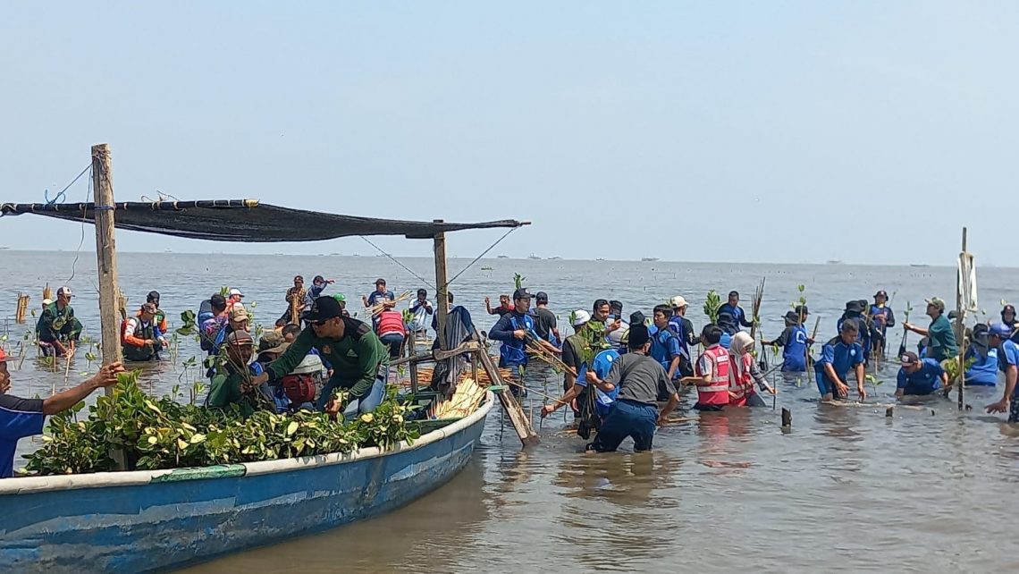 Peringatan Hari Santri 2023, PCNU Kabupaten Pasuruan Ajak Warga Tanam 10 Ribu Mangrove di Pesisir Rejoso 1 PCNU Kabupaten Pasuruan.