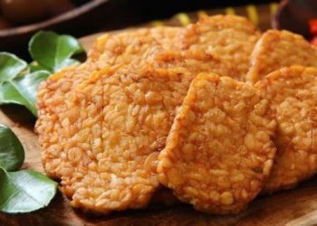 Kandungan tempe.