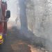 Gunung Geger Terbakar, 3 Hektare Hutan Jati Hangus Diduga Akibat Gesekan Kayu Kering 9 Gunung Geger.