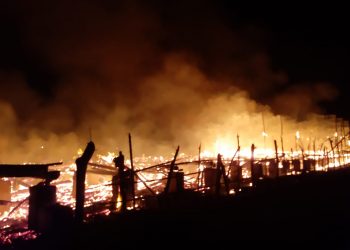 Kebakaran kandang.
