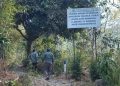 Kebakaran Arjuno.