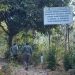 Penyebab Kebakaran Arjuno di Pasuruan Masih Diselidiki, Perhutani Sebut Titik Api Muncul dari Tebing 8 Kebakaran Arjuno.