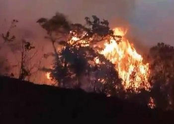 Gunung Arjuno Kebakaran Lagi, Rembetan Api Terlihat dari Pasuruan