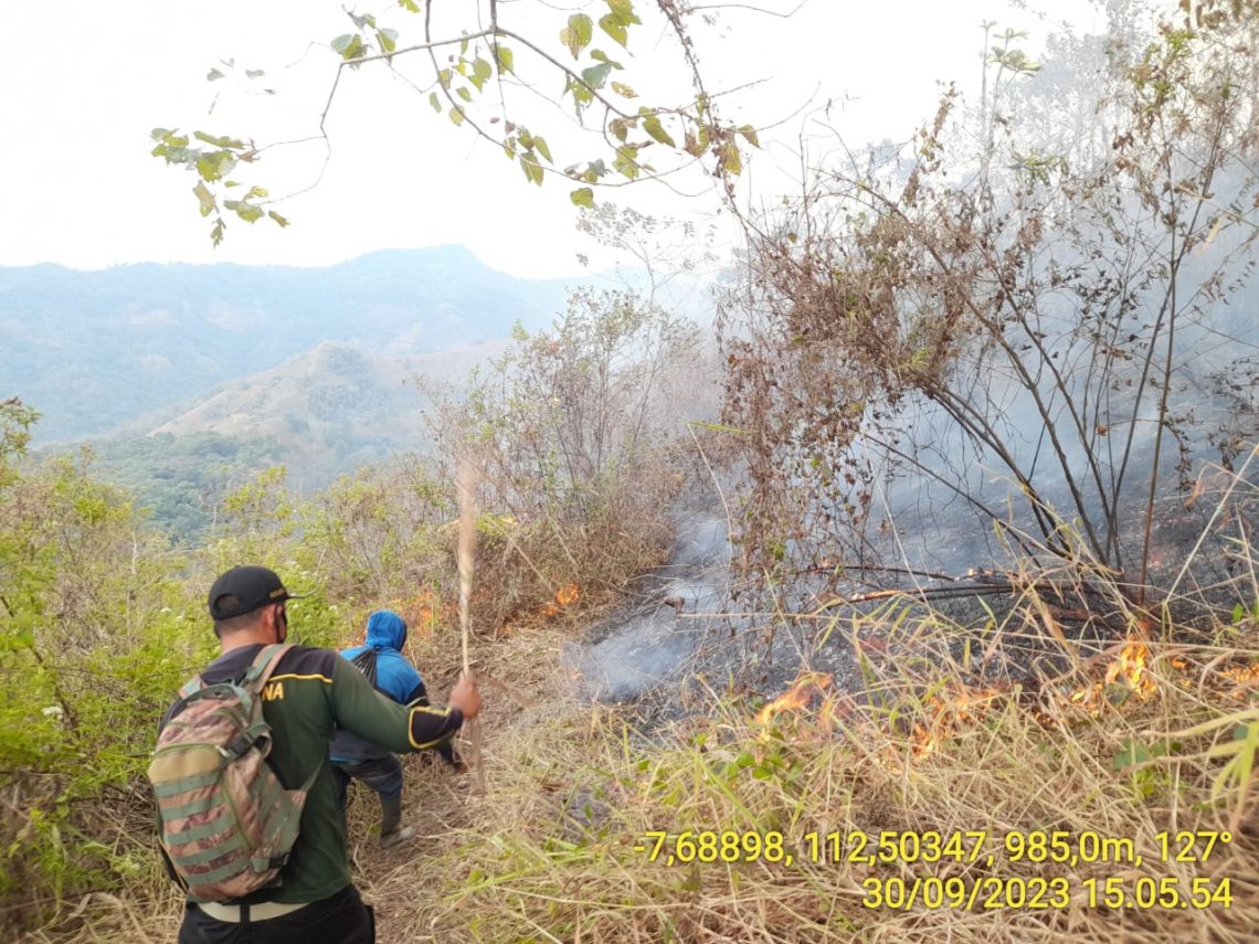 Karhutla Kembali Berkobar, Landa Kawasan Pacet Mojokerto 1 karhutla tugu jatim