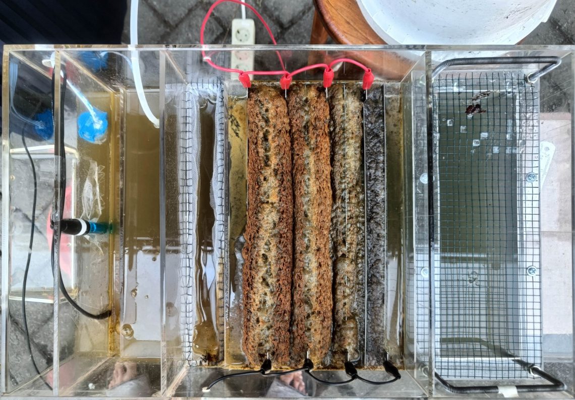Amorpho Coagulation Tech, Alat Reduksi Polutan Limbah Porang Ciptaan Mahasiswa Universitas Brawijaya Malang 1 Amorpho Coagulation Tech, alat reduksi polutan limbah porang. Foto: dok Humas UB