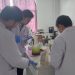 Mahasiswa Universitas Brawijaya Malang Ciptakan Produk Alternatif Untuk Sembuhkan Alzheimer