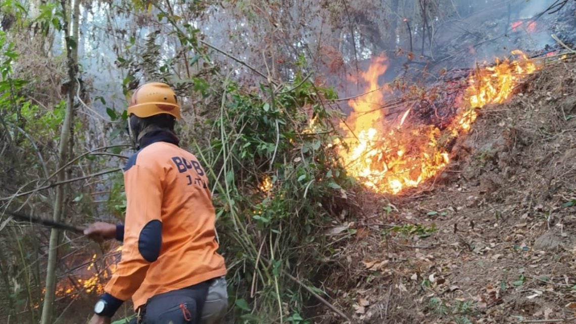 Petugas BPBD Kota Batu bersama tim gabungan melakukan pemadaman manual di Petak 5 Perhutani, Desa Sumberejo, Kecamatan Batu, Kota Batu. Foto: BPBD Kota Batu