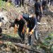 Kerja Bhakti Bersih-bersih Mudun Kali, Pj Wali Kota Malang Minta Warga Tak Buang Sampah ke Sungai 8 Kerja Bhakti Bersih-bersih Mudun Kali, Pj Wali Kota Malang Minta Warga Tak Buang Sampah ke Sungai