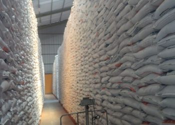 Pemerintah Bakal Impor 1 Juta Ton Beras Dari Cina