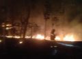 1,5 Hektare Lahan Jati Milik Warga Tuban Ludes Terbakar