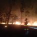 1,5 Hektare Lahan Jati Milik Warga Tuban Ludes Terbakar 11 1,5 Hektare Lahan Jati Milik Warga Tuban Ludes Terbakar