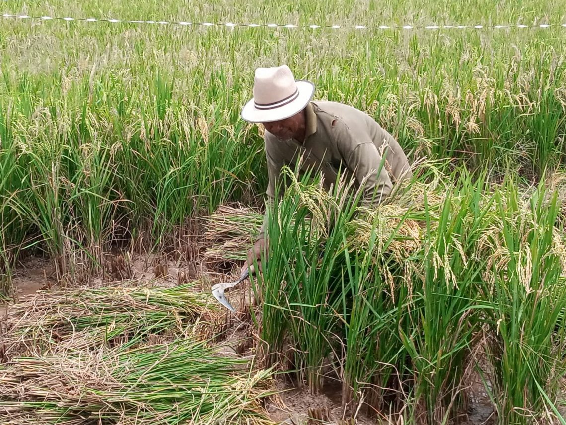 elnino tugu jatim