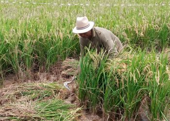 elnino tugu jatim