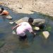 Selain Ambil Sampel Air, DLH Jatim Imbau Warga Tak Buang Sampah di Sungai Welang Pasuruan 7 Selain Ambil Sampel Air, DLH Jatim Imbau Warga Tak Buang Sampah di Sungai Welang Pasuruan