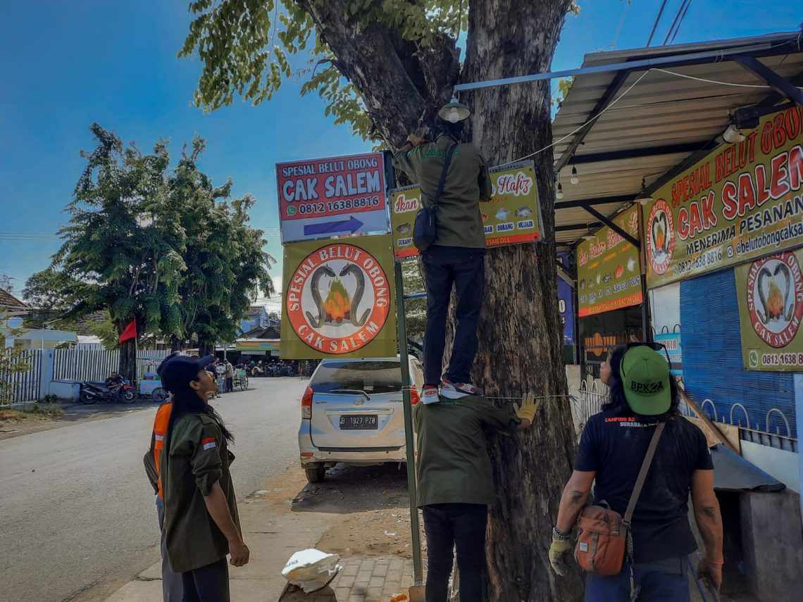 Kolaborasi peduli pohon perindang oleh sejumlah komunitas di Surabaya-Sidoarjo. Mereka mencabuti paku-paku yang menancap di pohon-pohon di ruas Jalan Rungkut, Surabaya. Foto: Dok Pribadi