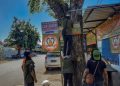 Komunitas di Surabaya-Sidoarjo Kolaborasi Cabuti Paku di Pohon Perindang