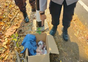 Warga Pasuruan Temukan Jasad Bayi Perempuan di Dalam Kardus