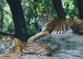 Terancam Punah, 5 Hewan Mamalia Ini Dilindungi di Indonesia