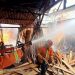 Jumlah Kebakaran Lahan Kosong di Tuban Meningkat 8 tuban tugu jatim