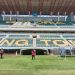 FIFA Acungi 2 Jempol Untuk Kualitas Lapangan Gelora Bung Tomo Surabaya 8 fifa tugu jatim