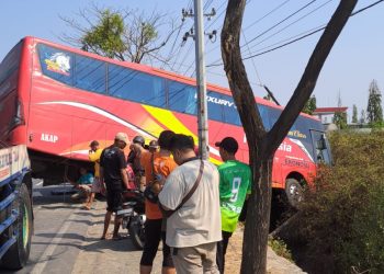 Pemotor Tewas Dihantam Bus Jaya Utama Indo di Jalur Pantura Tuban
