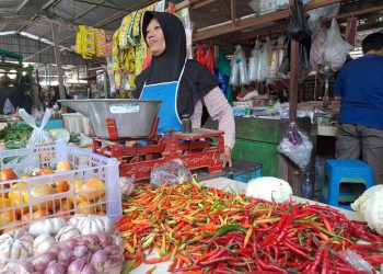 Harga cabai rawit.