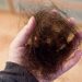 Penyebab Rambut Rontok, Inilah 5 Tips Cara Alami Mengatasinya tanpa Obat 8 Rambut rontok.