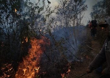 Kebakaran Lahan di Pacet Padam, Kini Muncul Lagi Titik Api di Gondang Mojokerto 3 Kebakaran lahan.