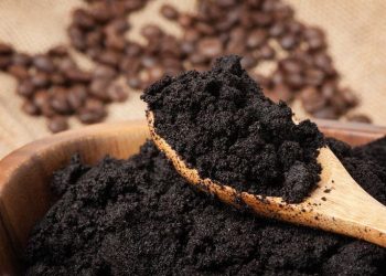 Ampas kopi.