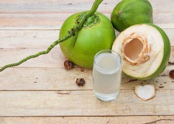 Minum air kelapa muda.