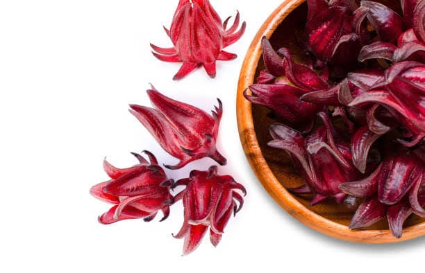 Jaga Imun Tubuh dengan Konsumsi Bunga Rosella, Inilah 5 Manfaat bagi Kesehatan! 1 bunga Rosella.