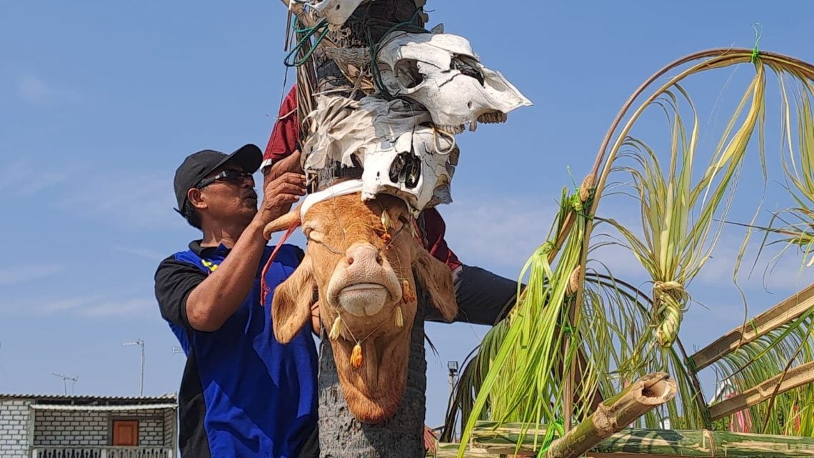Tradisi sedekah laut.