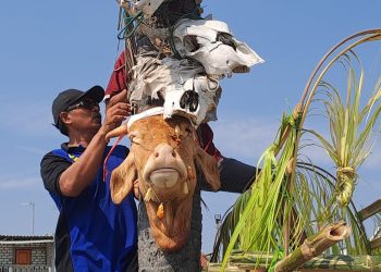 Tradisi sedekah laut.