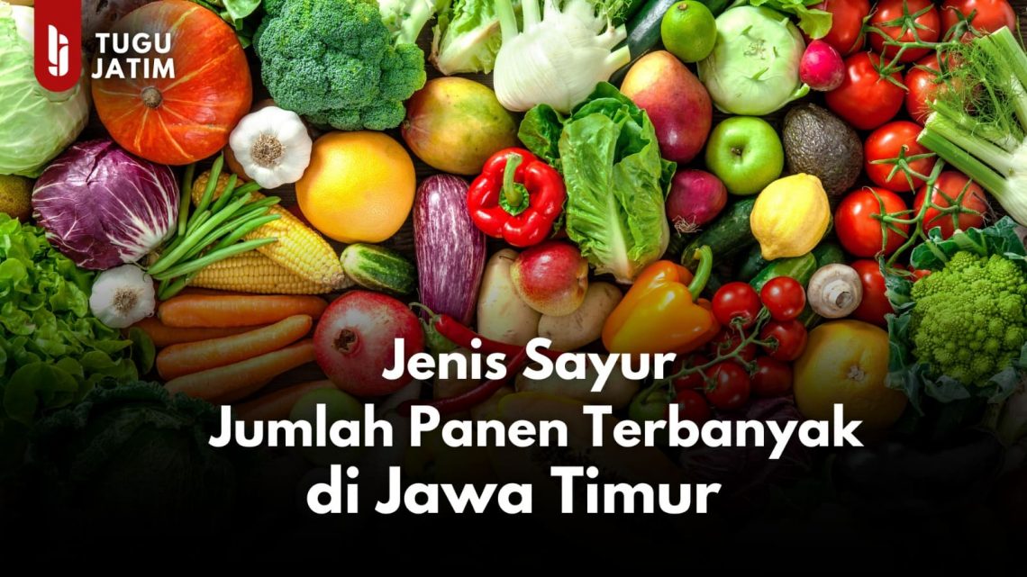 7 Sayur di Jawa Timur dengan Jumlah Panen Terbanyak 2022, Cabai Rawit Teratas! 1 sayur di Jawa Timur.