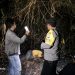 Diduga Bersih-Bersih Lahan, Petani di Tuban Ditemukan Tewas Terbakar 8 Petani di Tuban.
