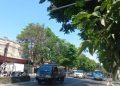 Pelanggar lalin.
