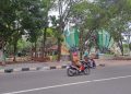 taman hutan kota.