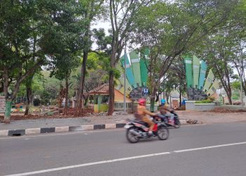 taman hutan kota.