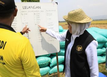 Harga beras.