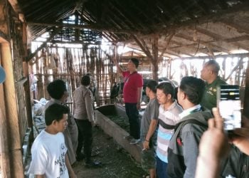 Petani di Pasuruan Ditemukan Tewas Tergantung di Kandang Sapi
